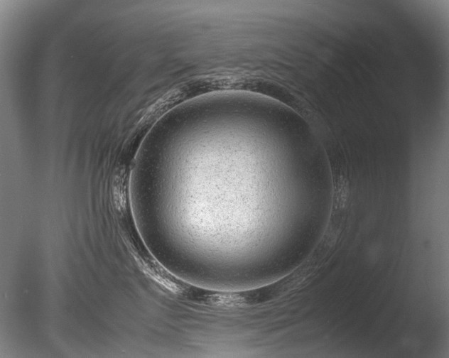 X0000085290719200703161450