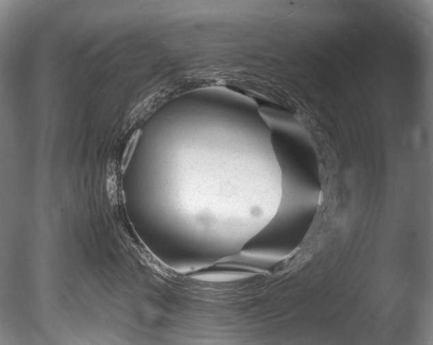 X0000085290720200703161450