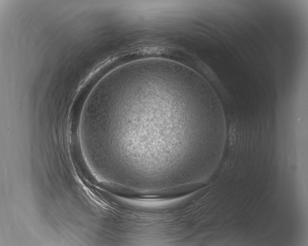 X0000085290722200703161449