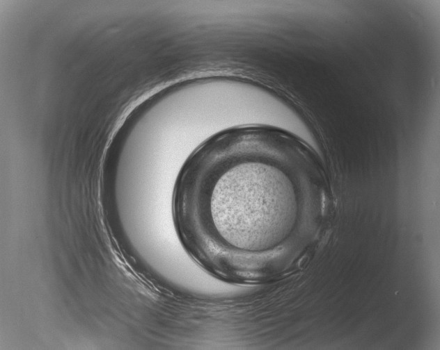 X0000085290724200703161449