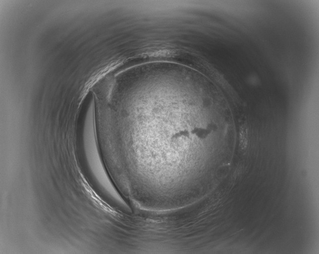 X0000085290725200703161449