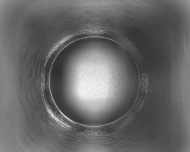 X0000085290726200703161449