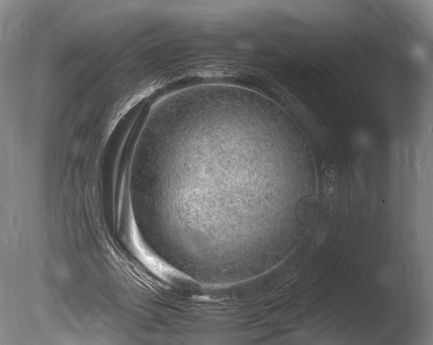 X0000085290727200703161449