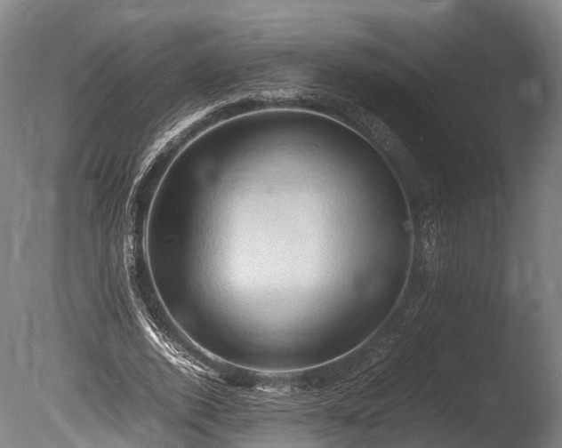 X0000085290728200703161449