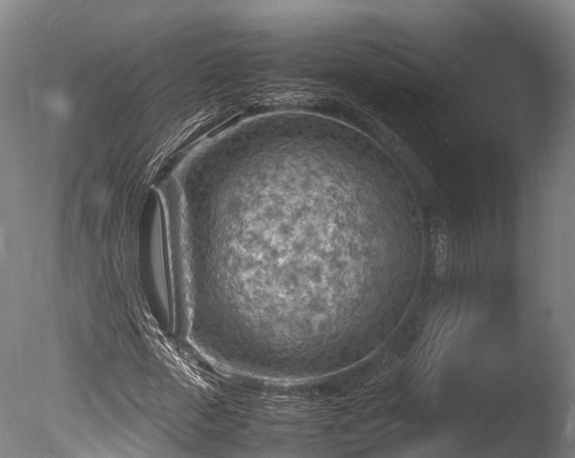 X0000085290729200703161449