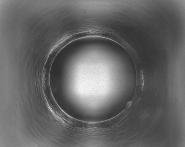 X0000085290730200703161449