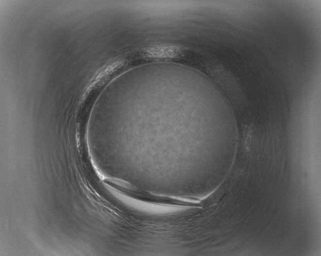 X0000085290731200703161449