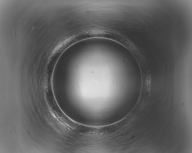 X0000085290732200703161449