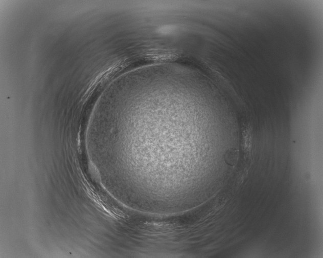 X0000085290733200703161449