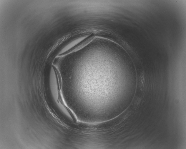 X0000085290734200703161449