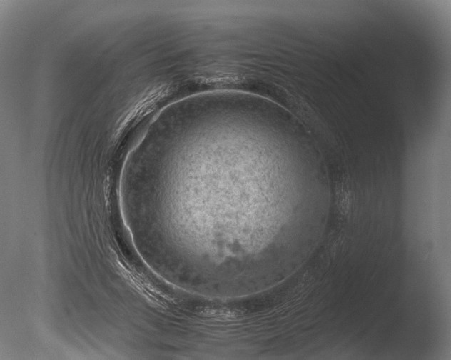 X0000085290735200703161449