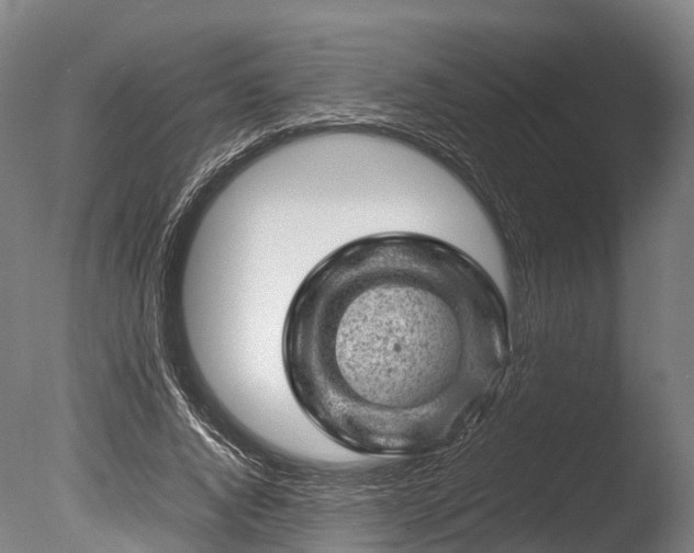 X0000085290736200703161449