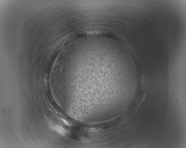 X0000085290737200703161449