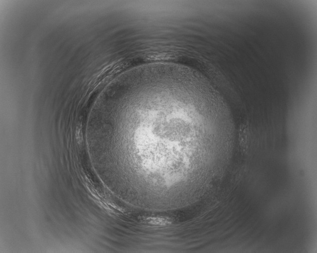 X0000085290741200703161449