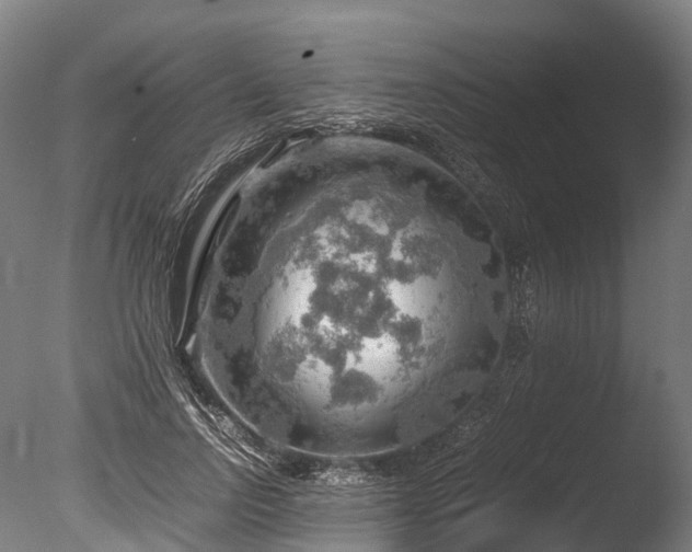 X0000085290742200703161449