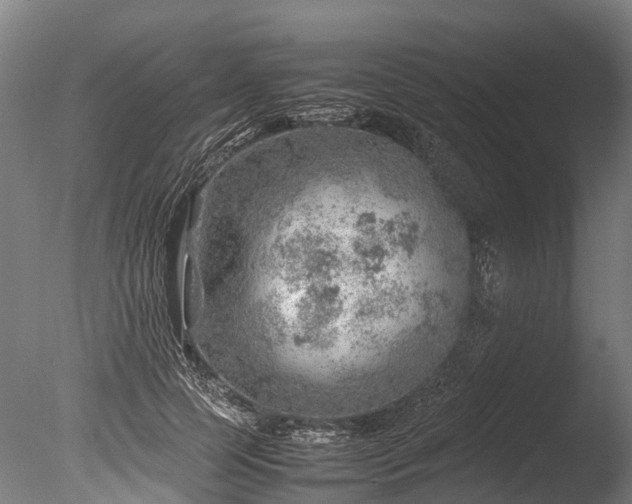 X0000085290745200703161449