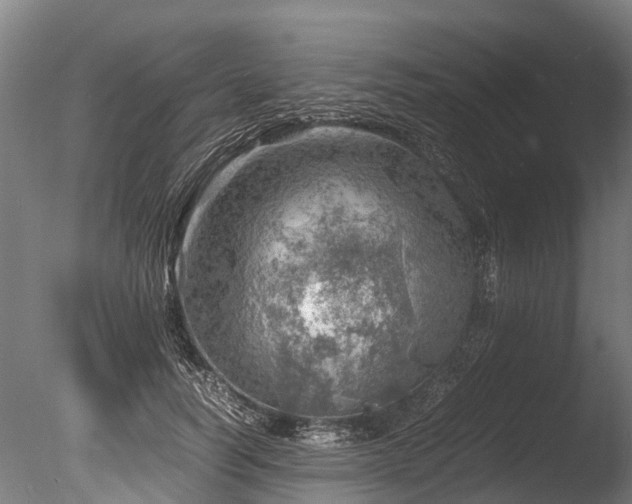 X0000085290746200703161449