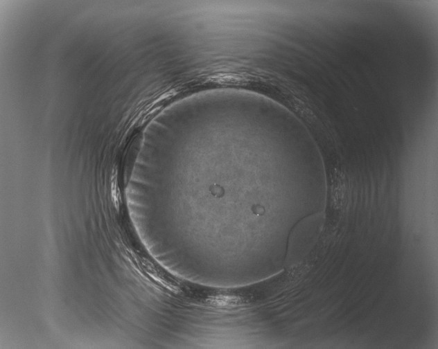 X0000085290748200703161450