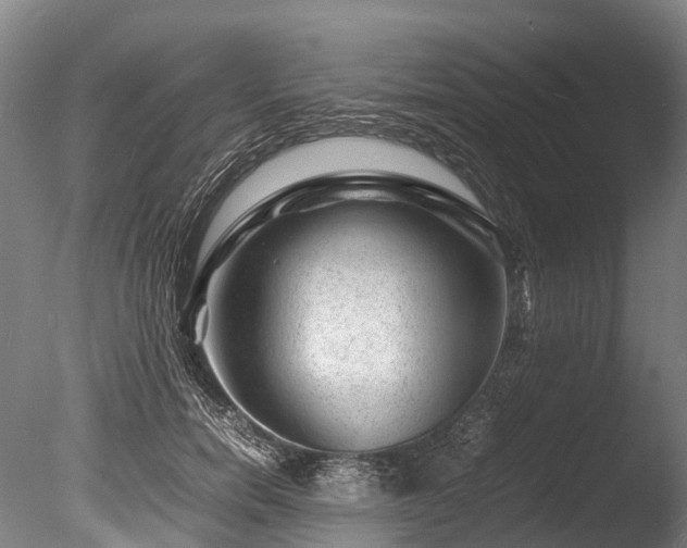 X0000085290750200703161450