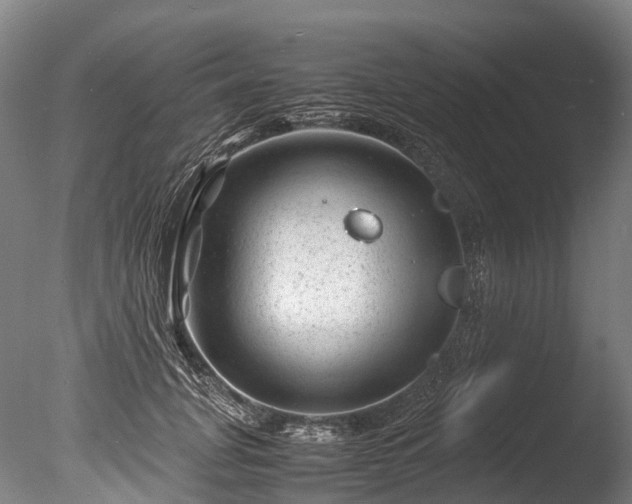 X0000085290751200703161450