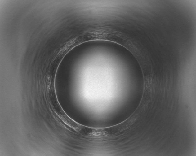 X0000085290752200703161450