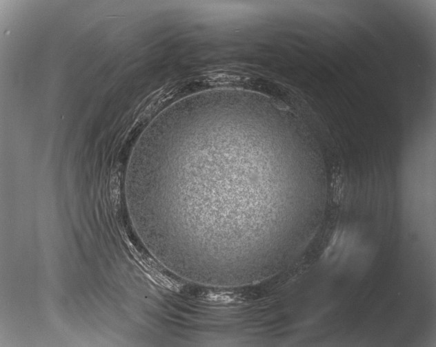 X0000085290753200703161450