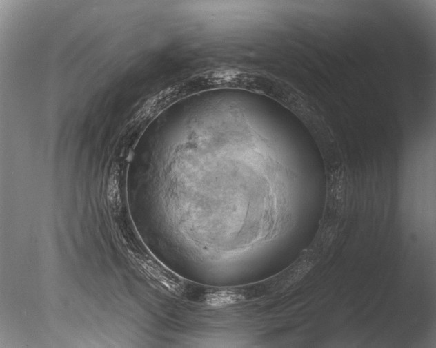 X0000085290754200703161450