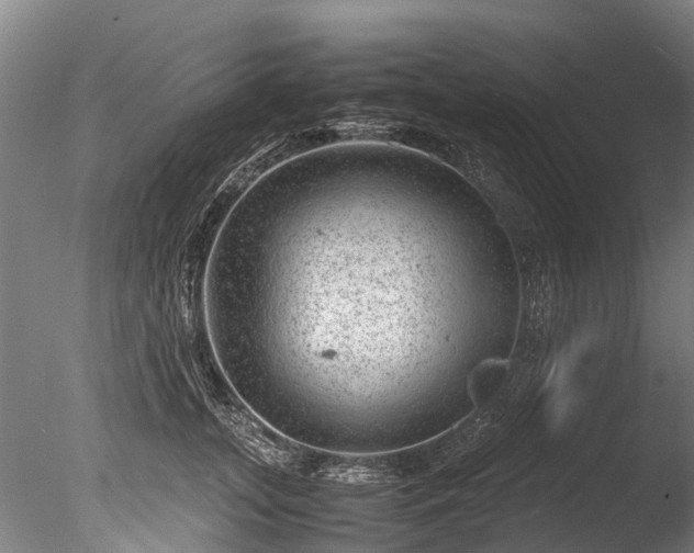 X0000085290755200703161450