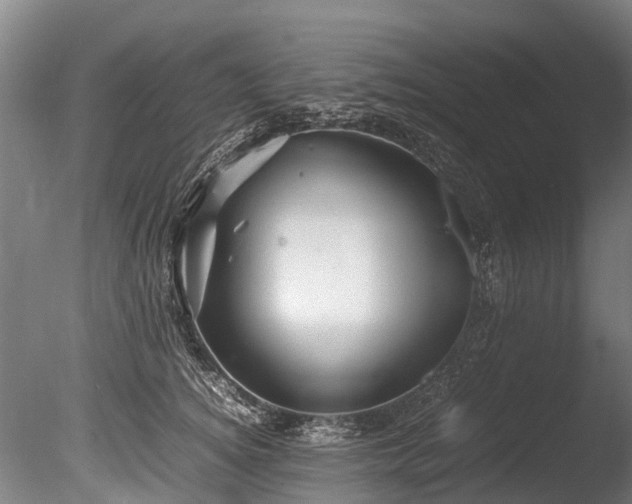 X0000085290756200703161450