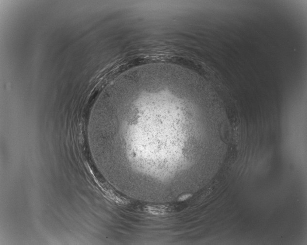 X0000085290757200703161450