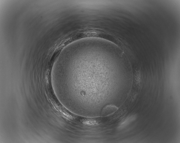 X0000085290759200703161450