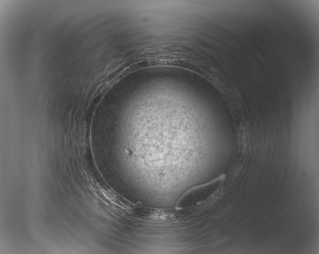 X0000085290760200703161450