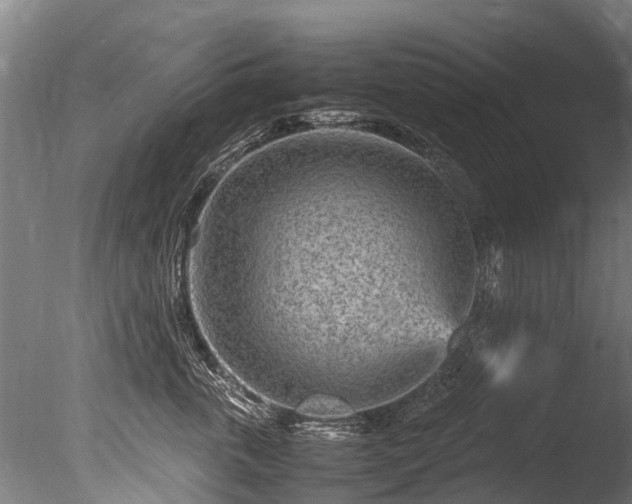 X0000085290763200703161450