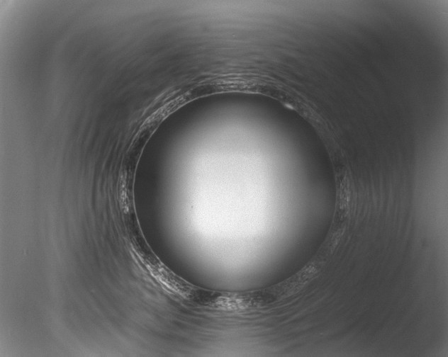 X0000085290764200703161450