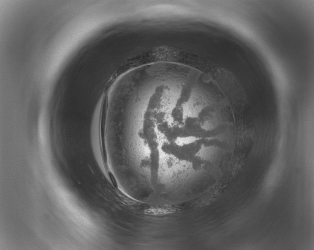 X0000085290765200703161450