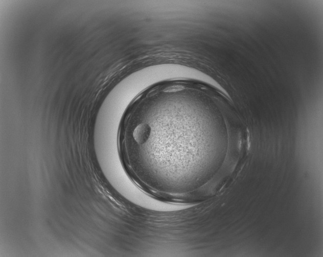 X0000085290766200703161450