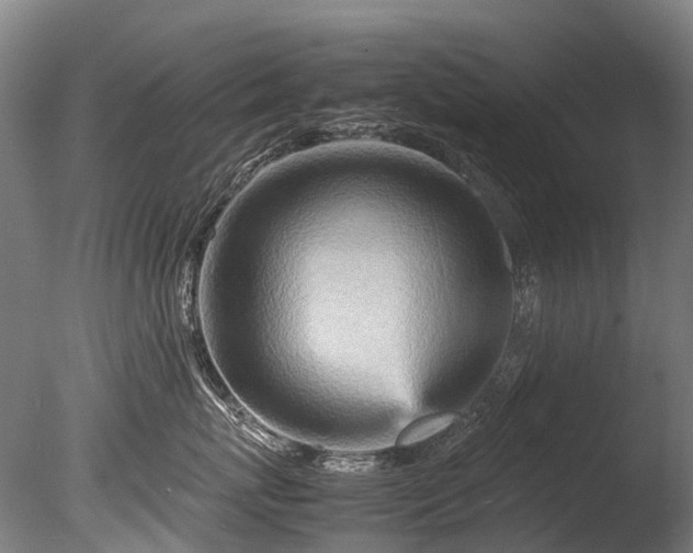 X0000085290767200703161450