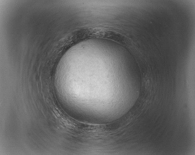 X0000085290769200703161449