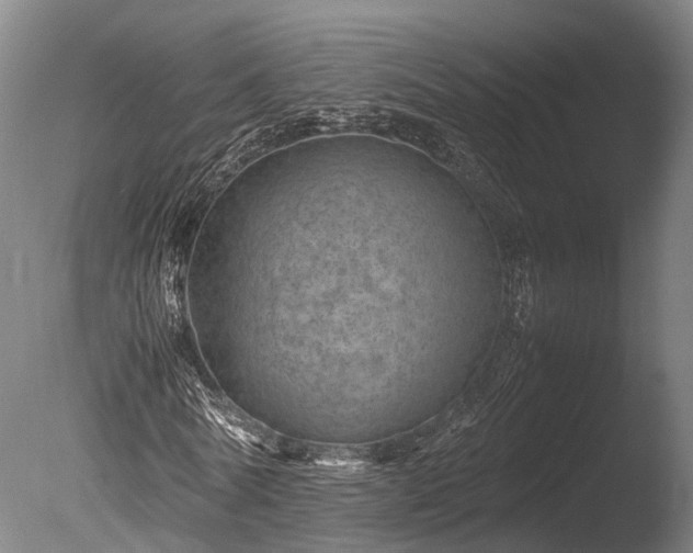 X0000085290770200703161449