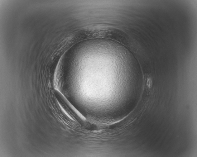 X0000085290771200703161449