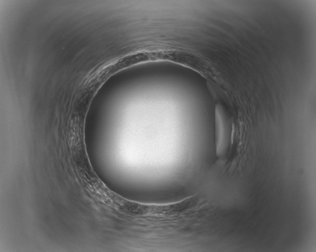 X0000085290773200703161449