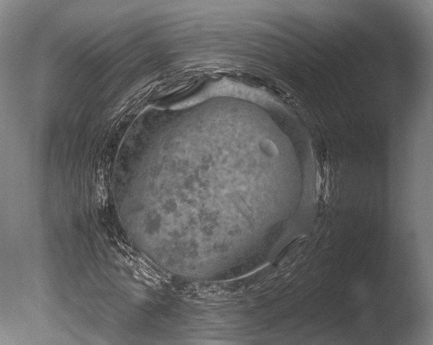 X0000085290774200703161449