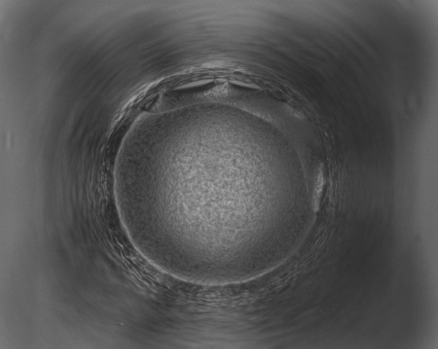 X0000085290776200703161449