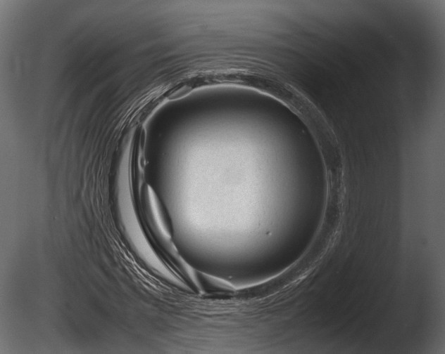 X0000085290777200703161449