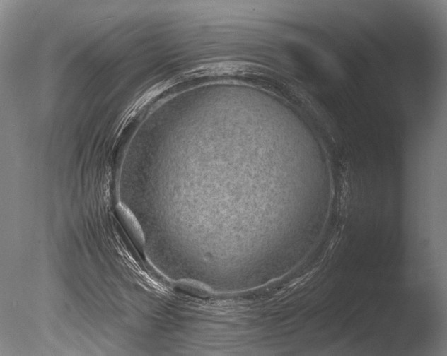 X0000085290778200703161449