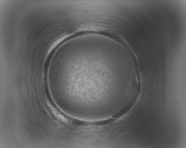 X0000085290779200703161449