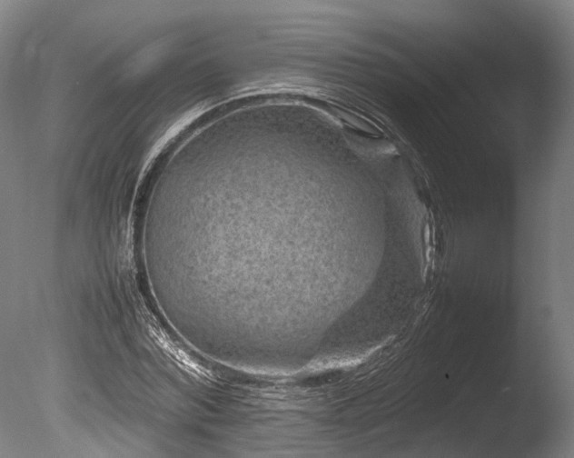 X0000085290780200703161449