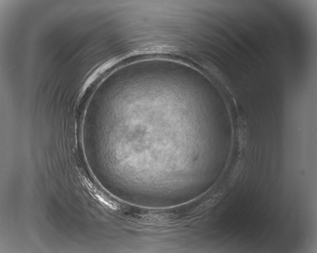 X0000085290781200703161449