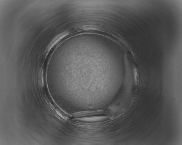 X0000085290782200703161449