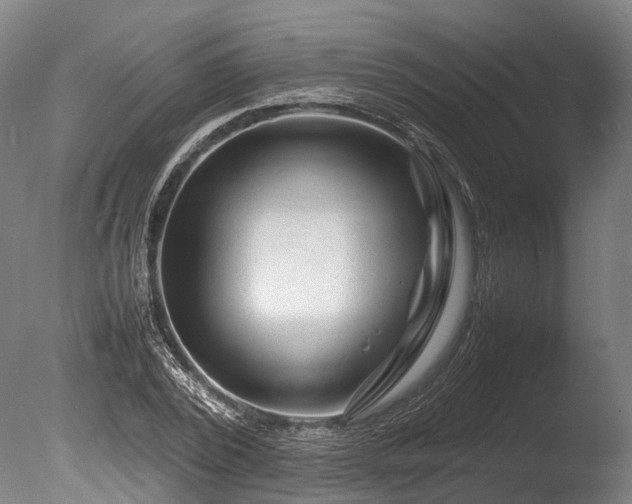 X0000085290784200703161449